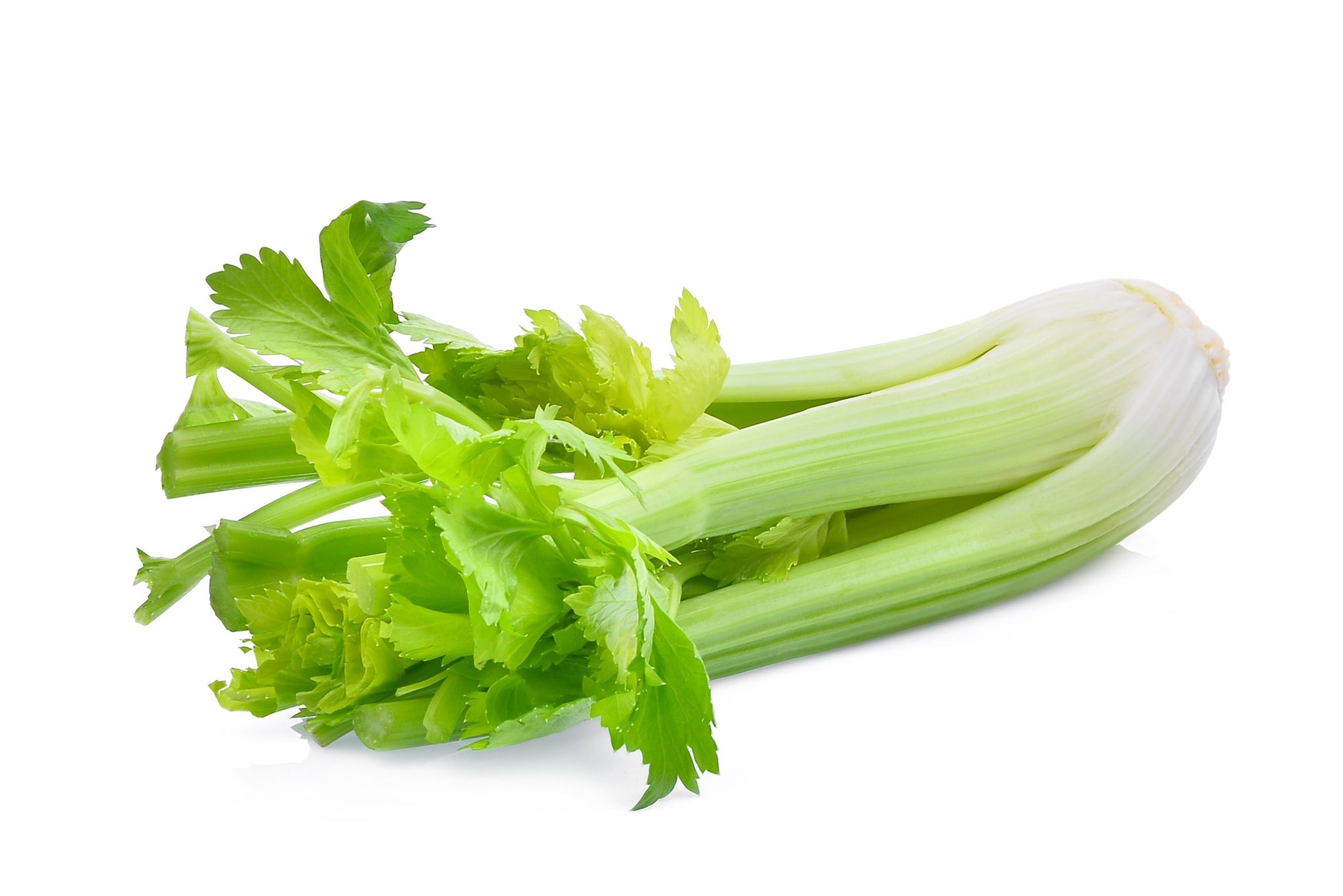 bvi>Celery Stalks ( each )