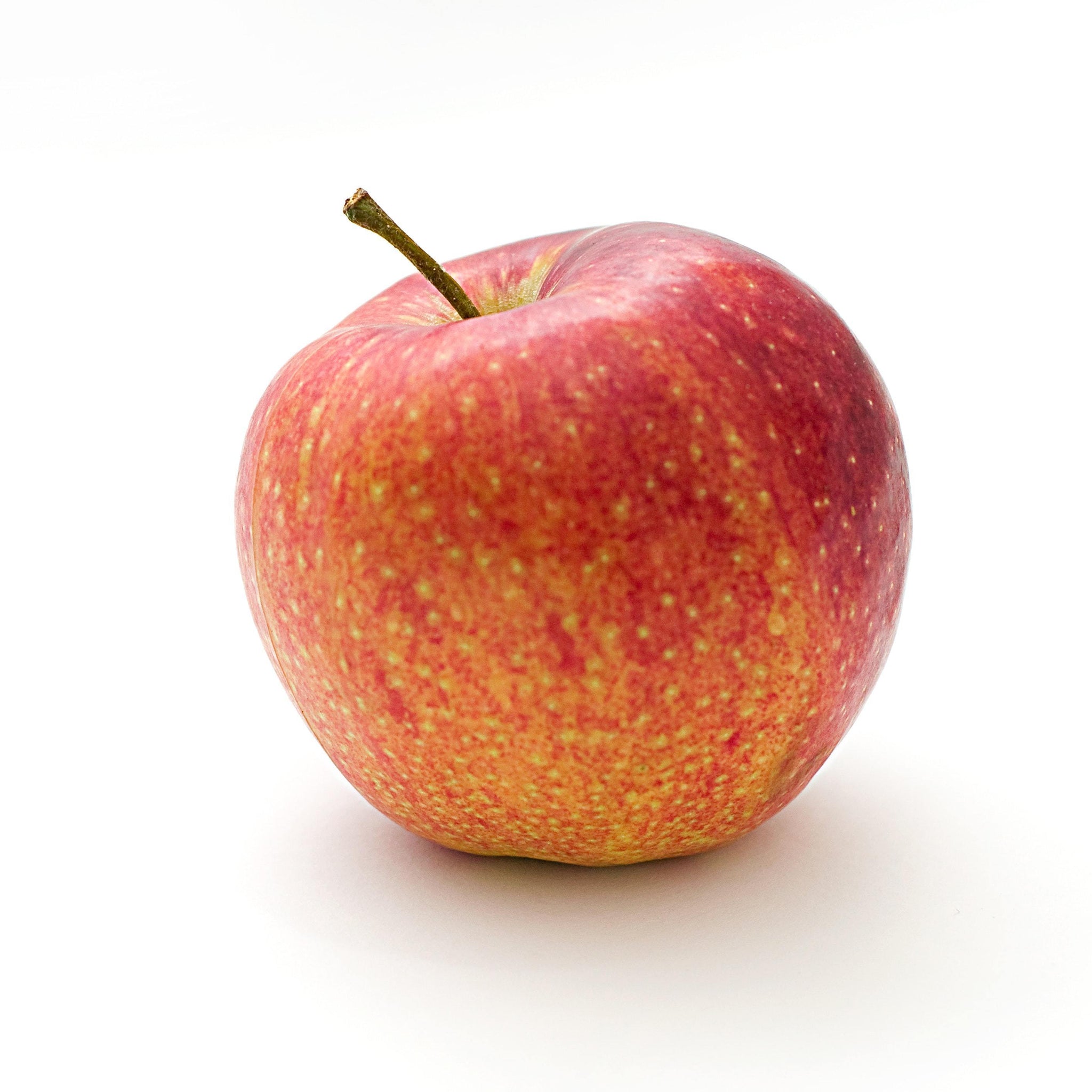 bvi>Gala Apples - each
