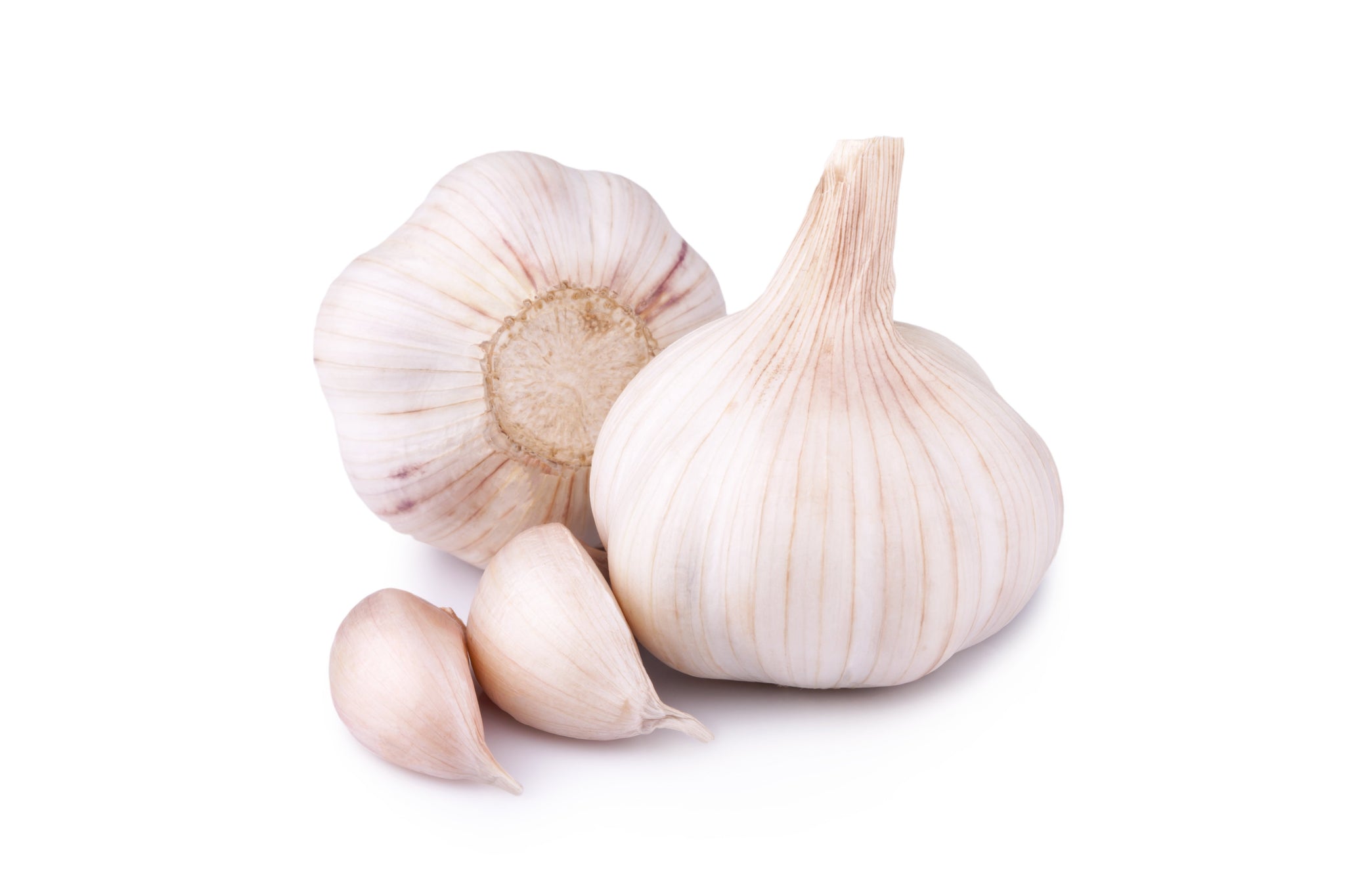 bvi>Fresh Garlic - each