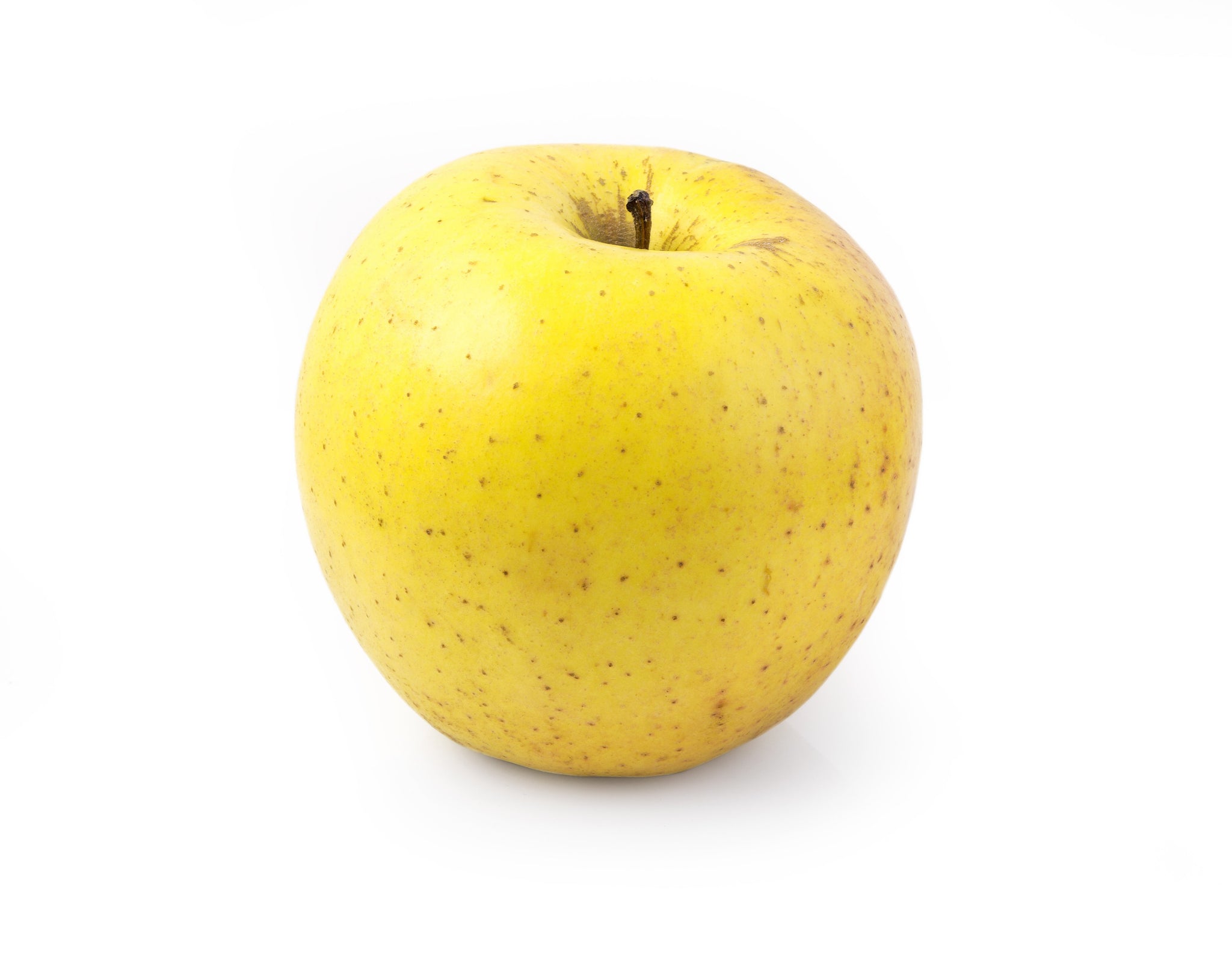 bvi>Golden Apples (each)