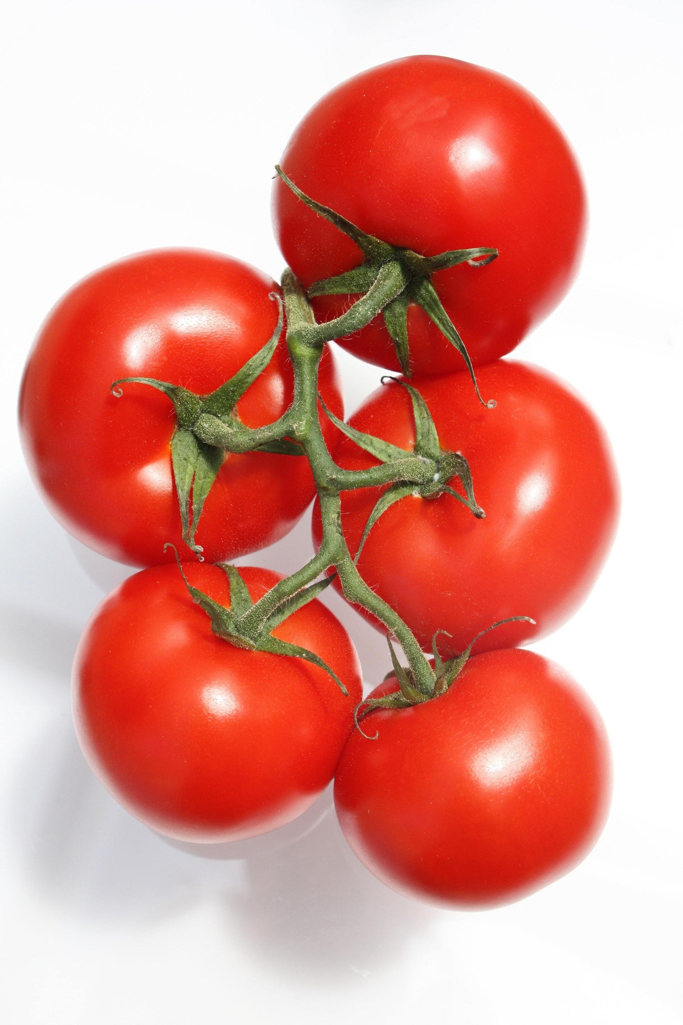 bvi>Tomatoes, 1 lb